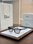 Dior 2827 Grey Shades (1)