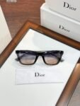 Dior 2827 Grey Shades (1)