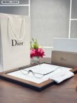 Dior 3464 Black Frame Shades (2)