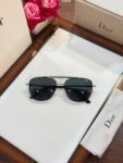 Dior 6637 Silver Black (1)