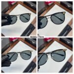 Ea 7804 Gold Black Shades (1)