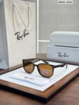 Rayban 8368 Brown Shades (1)