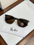 Rayban 8368 Brown Shades (1)