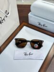 Rayban 8368 Brown Shades (1)