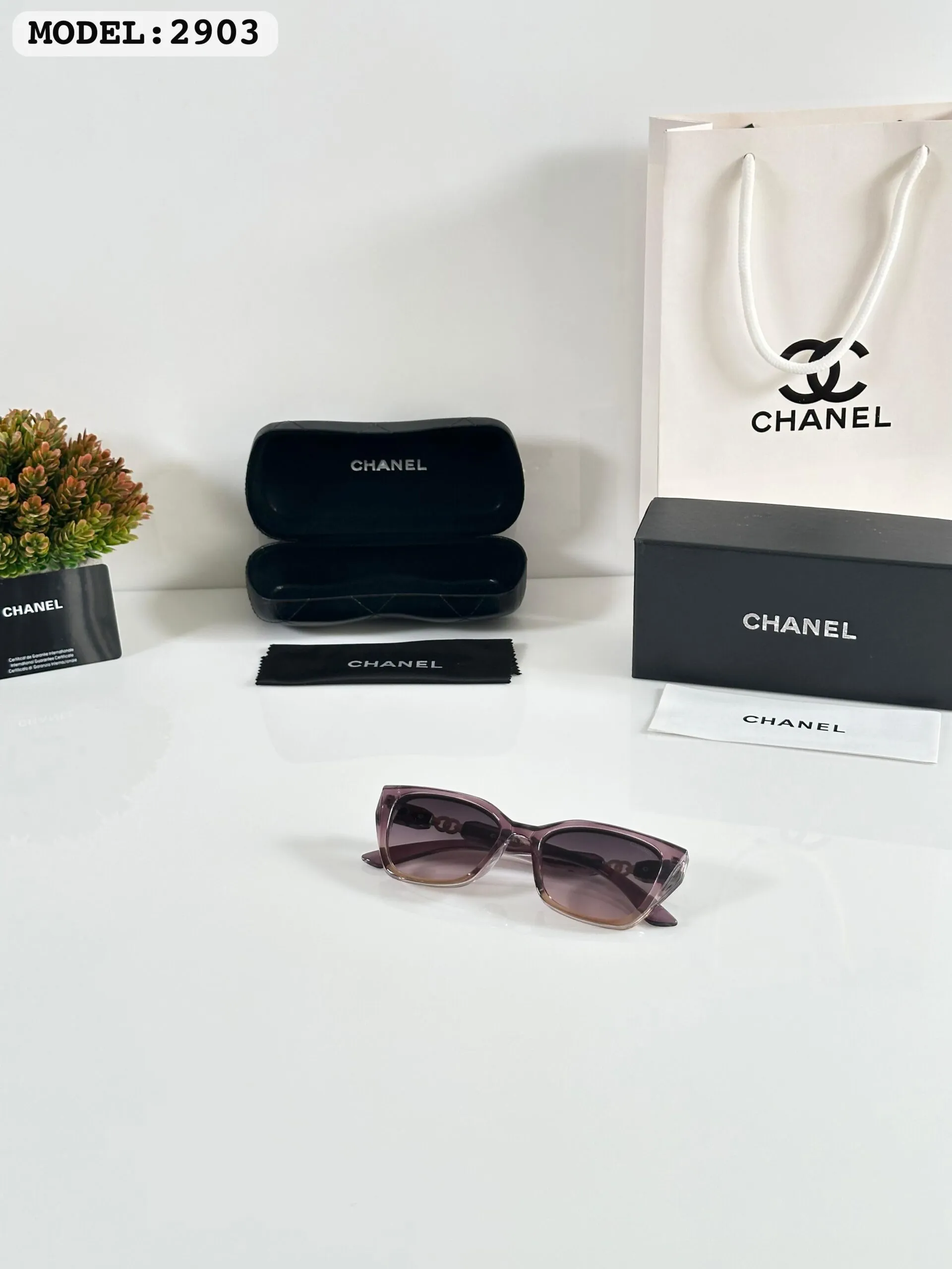 Imported Wmns 2903 Purple Shades (2)