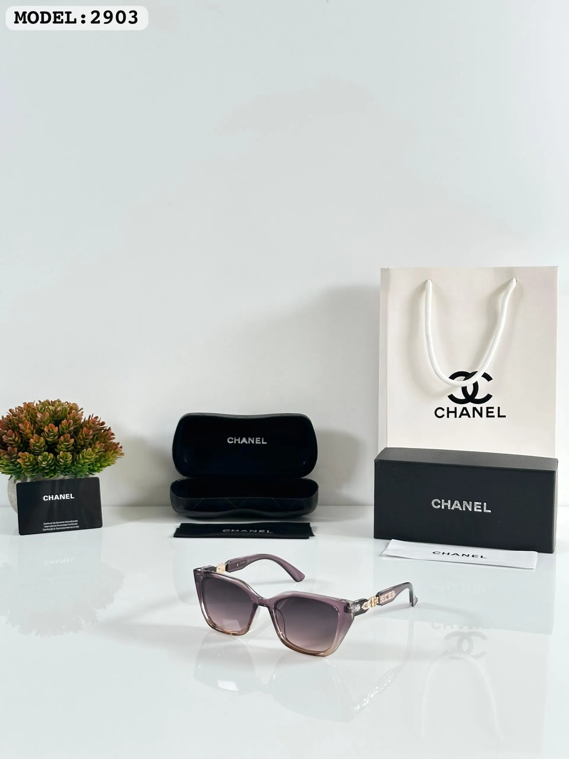 Imported Wmns 2903 Purple Shades (3)