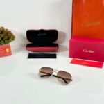 Gold Brown Premium Fashion Sunglasses (2)