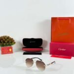 Gold Brown Premium Fashion Sunglasses (2)