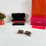 Luxury Gold Brown Men’s Sunglasses – Model 3064 (1)