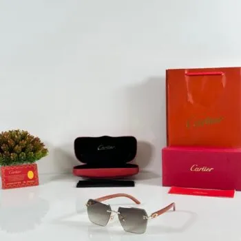 Luxury Gold Brown Men’s Sunglasses – Model 3064