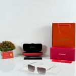 Premium Silver Pilot Sunglasses (2)