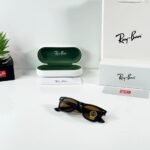 Premium Shiny Tortoise Wayfarer Sunglasses (3)