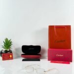 Gold Brown Photochromic Sunglasses – Smart Day & Night Eyewear (5)