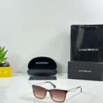 Brown Frame Sunglasses – Gold Tone Details (3)