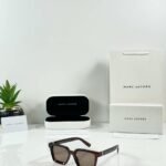 Brown Frame Sunglasses – Tortoise Tone Accents (3)