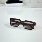 Brown Frame Sunglasses – Tortoise Tone Accents (3)
