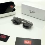 Transparent Grey Sunglasses – Dark Grey Lenses (4)